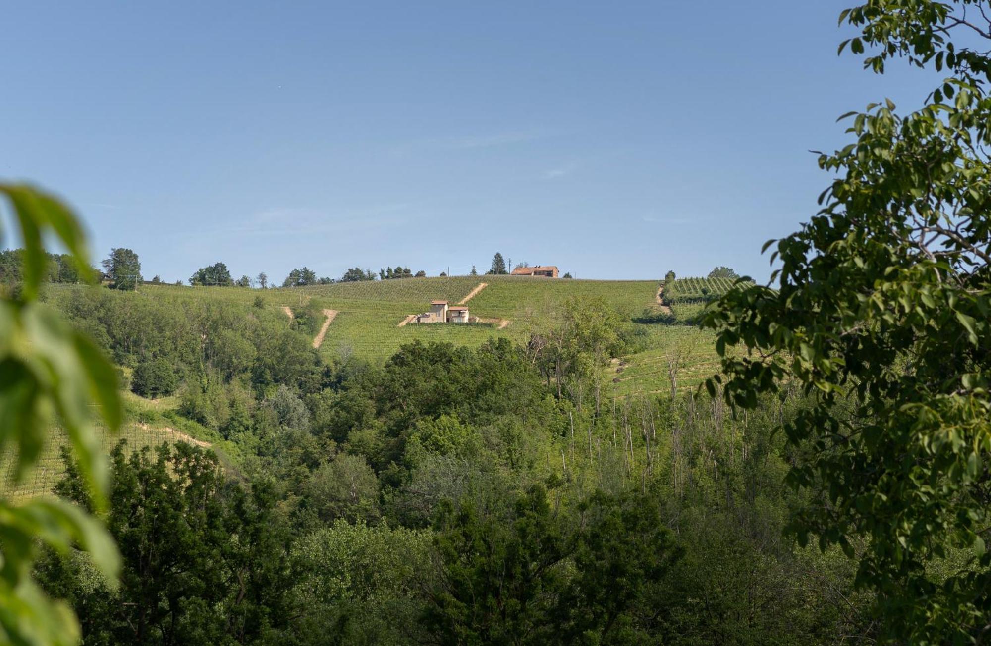 I Ciabot Di Monforte モンフォルテ・ダルバ エクステリア 写真